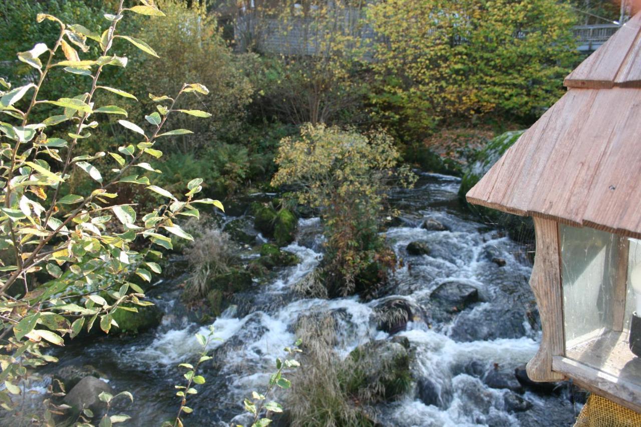 Gaestehaus Zur Lilie Triberg im Schwarzwald Exterior foto